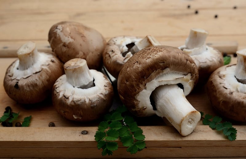Food Image